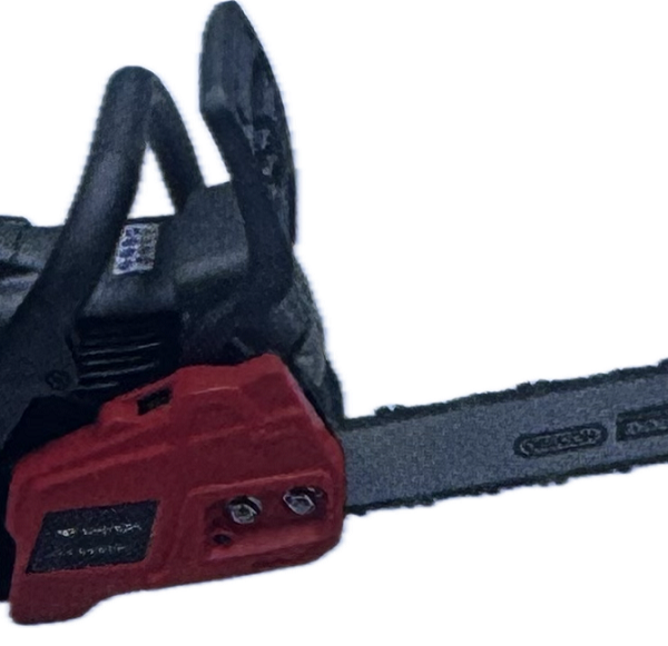 MOTOSIERRA CAMON XCS4200.