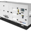 GENERADOR GENERGY GDS350T. - Imagen 2