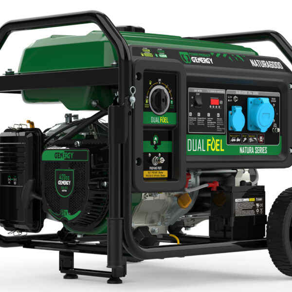 GENERADOR DUAL GENERGY NATURA 6000.