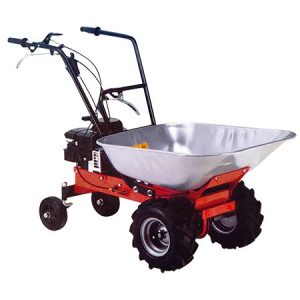 CARRETILLA MOTORIZADA CAMON MTRP85H45.
