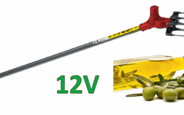 Vareadora CAMPEON PULSAR STD TELESCOPIC.