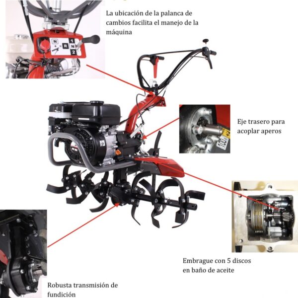 MOTOAZADA PUBERT MAESTRO55P.