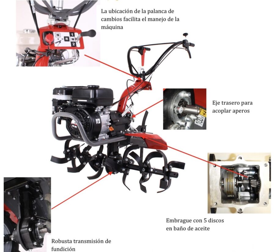 MOTOAZADA PUBERT MAESTRO55P.