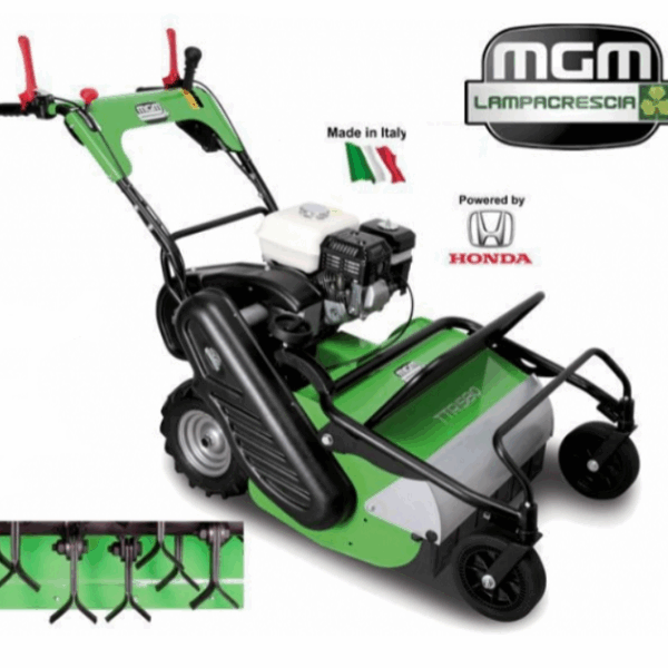 DESBROZADORA DE MARTILLOS MGM TTR 580.