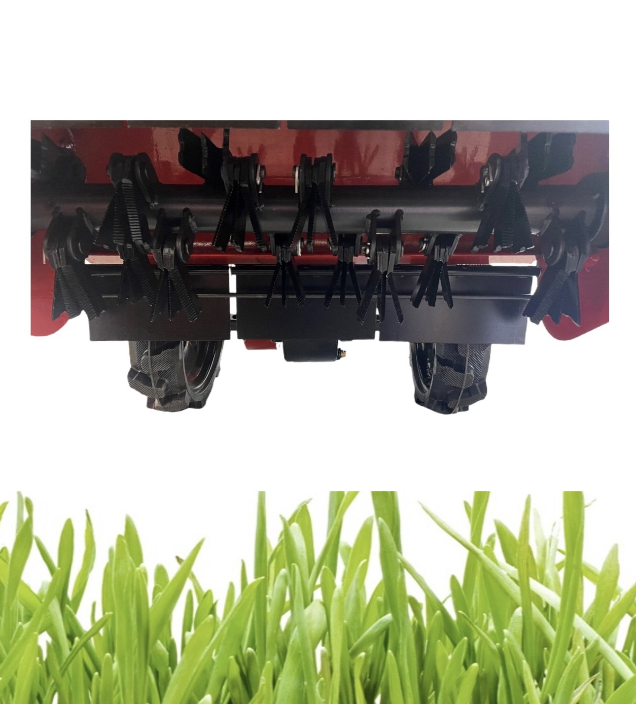 DESBROZADORA DE MARTILLOS CAMON TP803. - Imagen 3